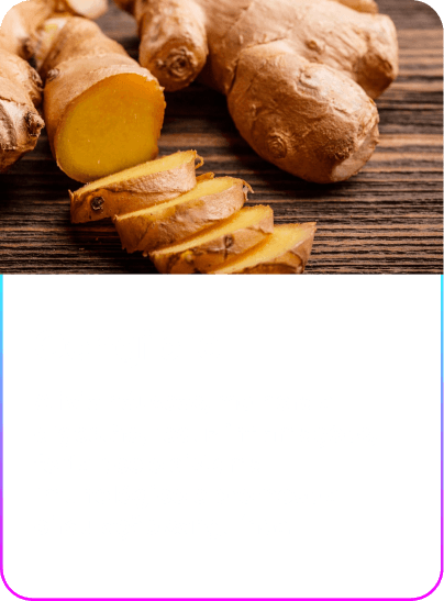 Gengibre-3-1.png